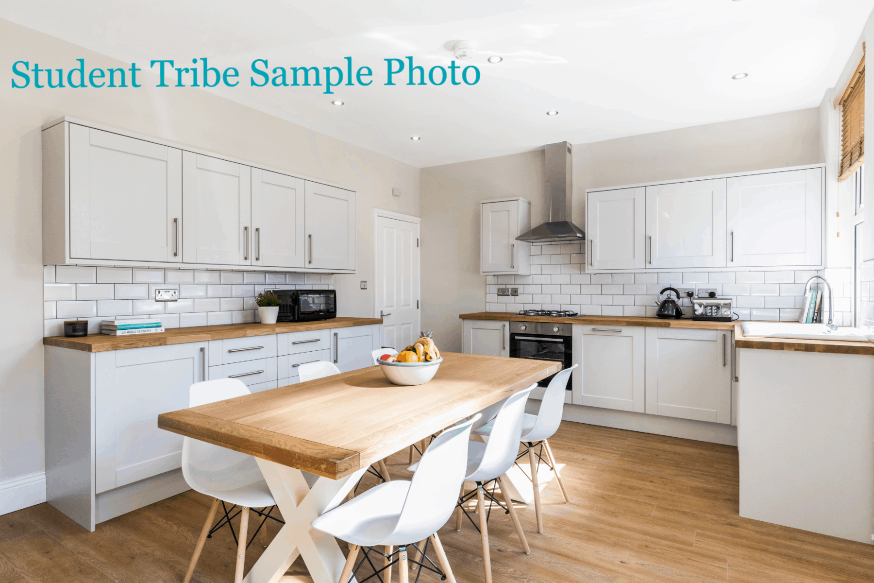 21 Albion Road Student Tribe